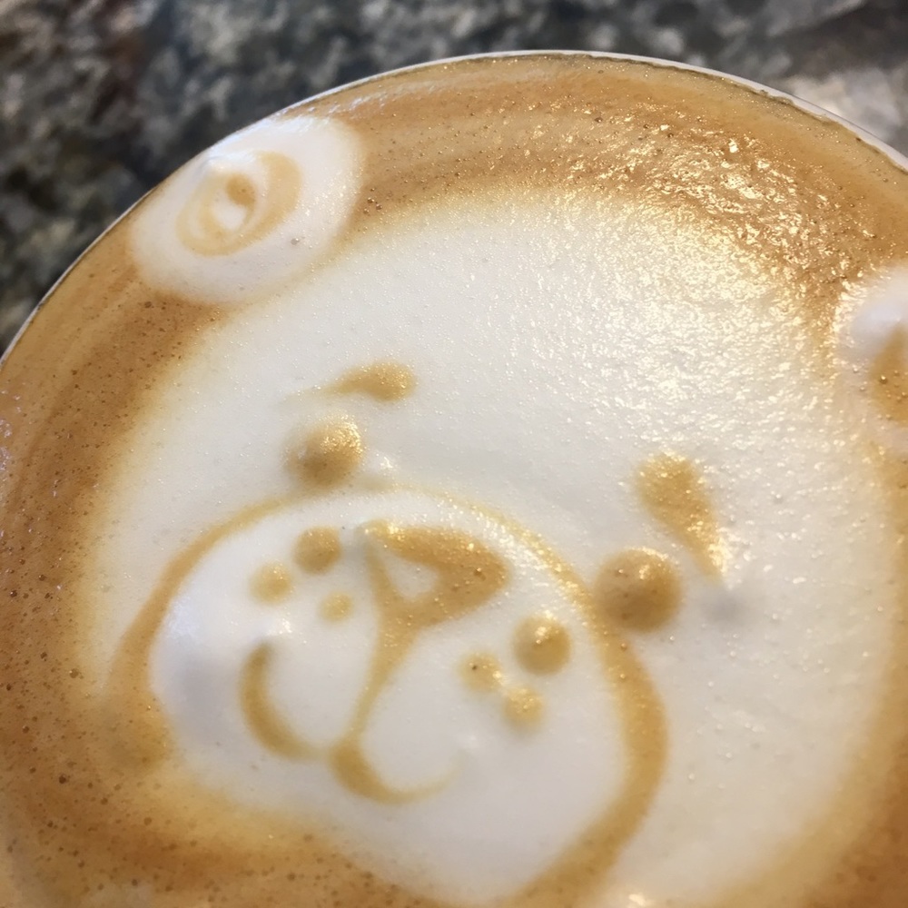 Meet your Posher, Molly